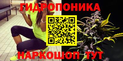 сатива Ирбит