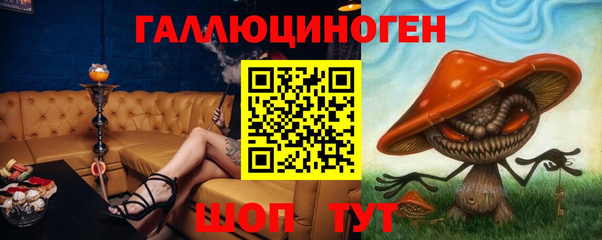 Галлюциногенные грибы прущие грибы Майкоп