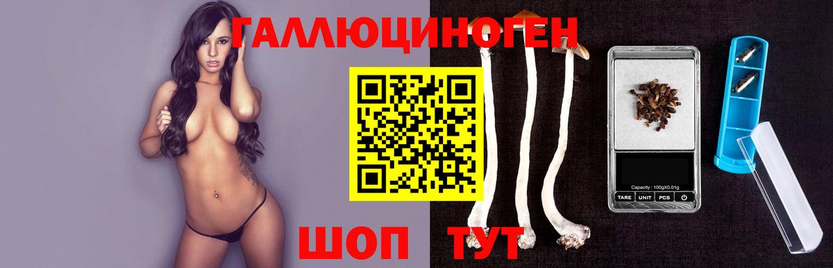 Галлюциногенные грибы MAGIC MUSHROOMS  Вход с VPN  Майкоп 